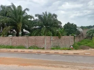 Concession Clôturé À Vendre Sur Macadam À N'djili Brasserie