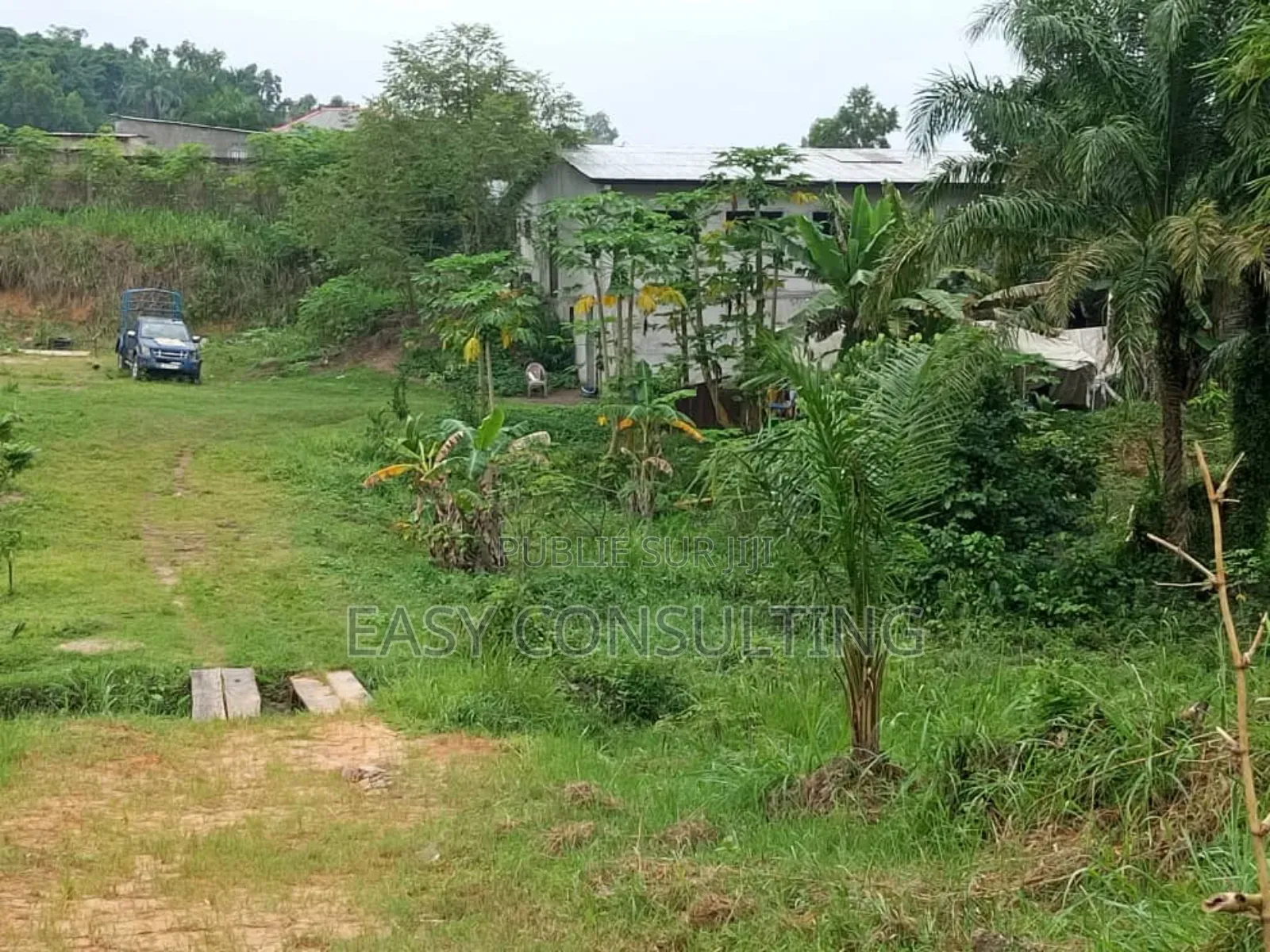 Concession Clôturé À Vendre Sur Macadam À N'djili Brasserie