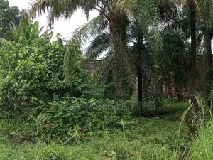 Concession Clôturé À Vendre Sur Macadam À N'djili Brasserie