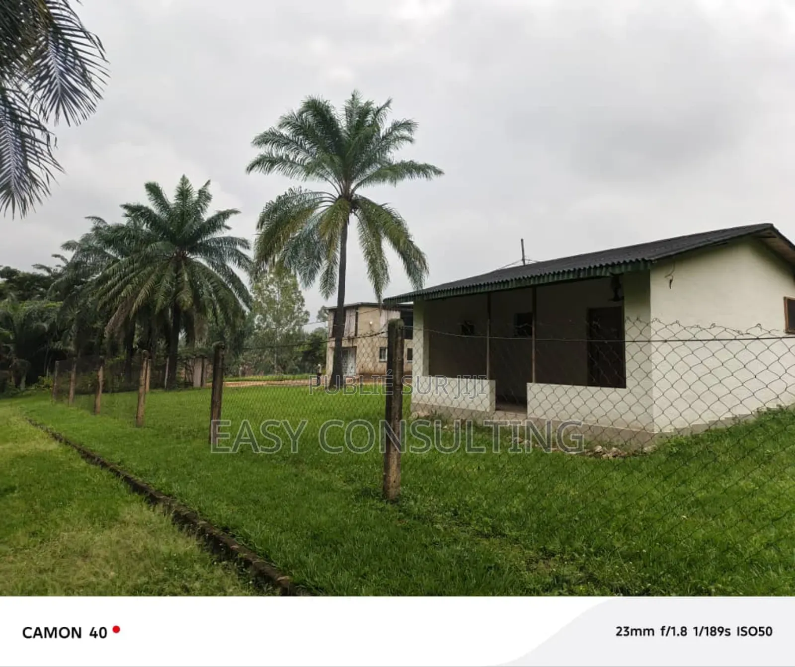 Furnished 6chbre Villa dans Grande Maison D'Un, Maluku à Vendre