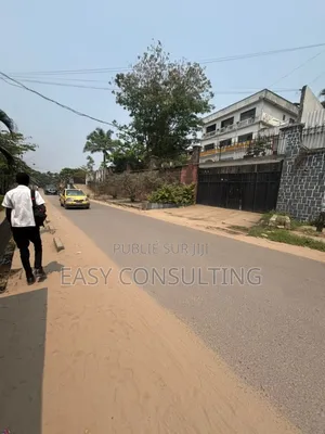 Terrains À Vendre – Avenue De La Montagne, Ma Campagne / Ngaliema