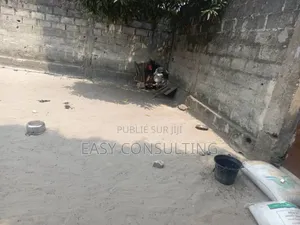 Parcelle Avec Maison À Vendre – Terre Jaune / N'sele (200m2)