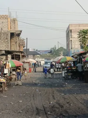 Terrain À Vendre Non Loin Du Macadam – 3e Avenue, Q/Efobank, N’Sele