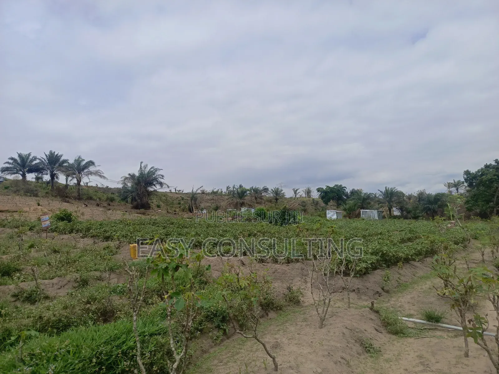 Vente Des Terrains Vide N’Djili Brasserie – N’Sele