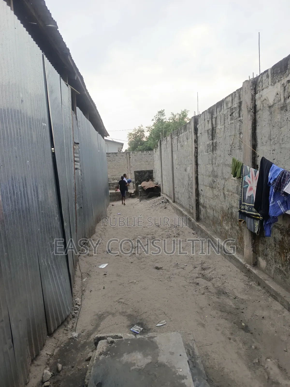 Vente D’Un Terrain Avec Forage D’Eau – Terre Jaune, N’Sele