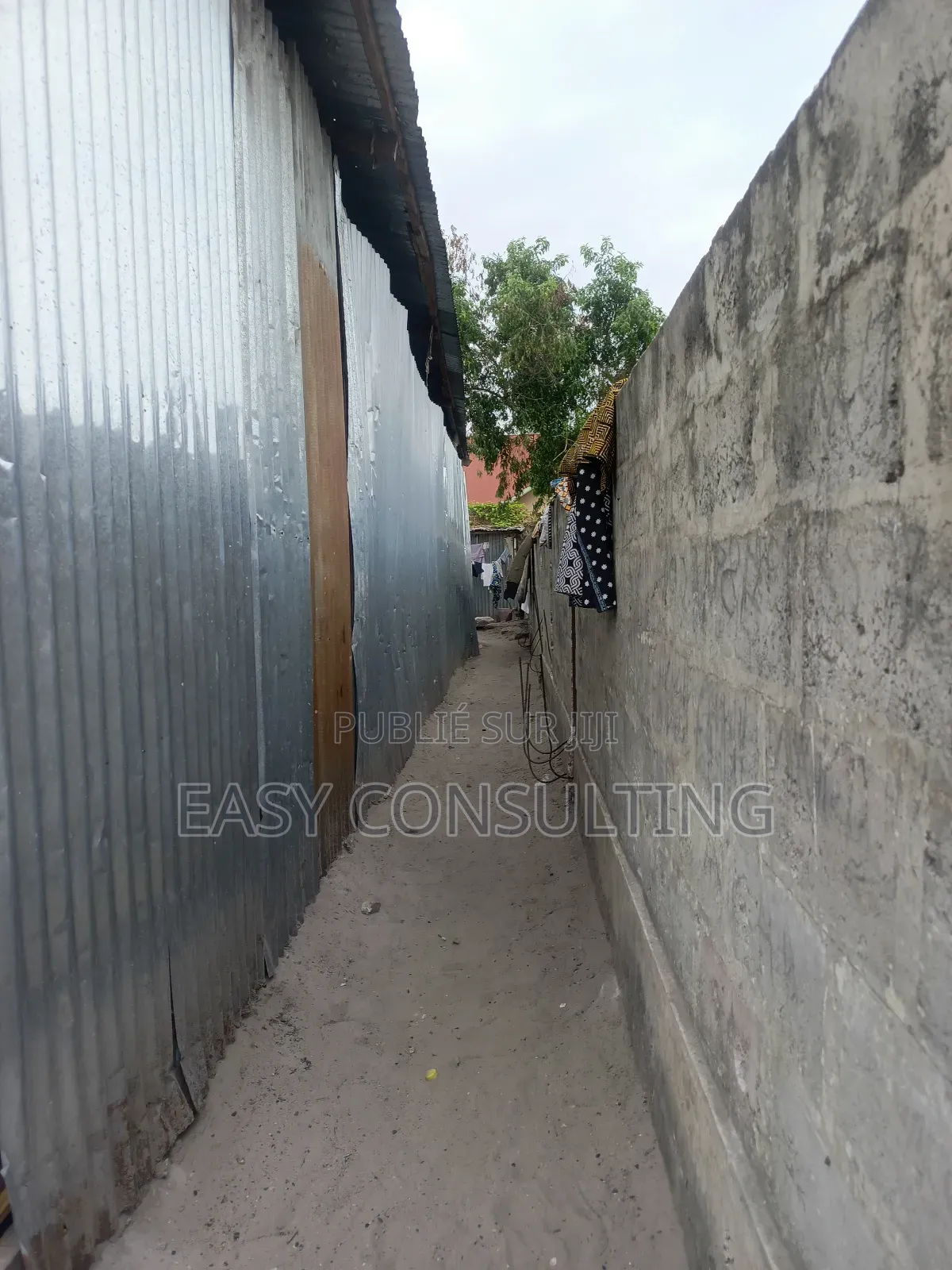 Vente D’Un Terrain Avec Forage D’Eau – Terre Jaune, N’Sele