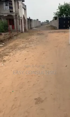 Terrains Cadastrés À Vendre Dans Une Concession N’Sele Après Kinkole