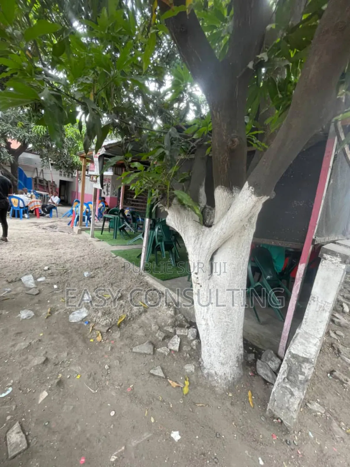 Parcelle Stratégique À Vendre Sur Macadam – Kalamu, Quartier 20 Mai