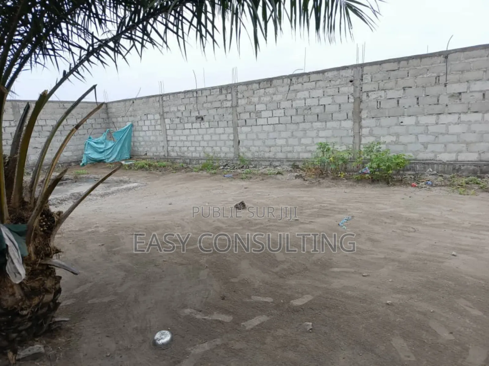Vente D’Une Parcelle Clôturée Avec Deux Hangars –N'sele