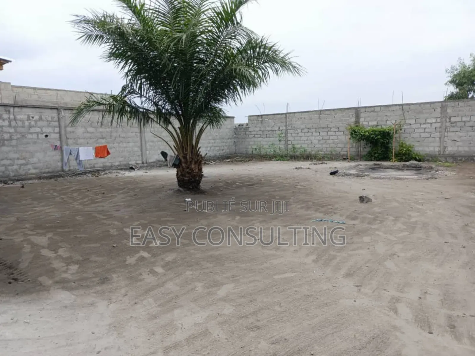 Vente D’Une Parcelle Clôturée Avec Deux Hangars –N'sele