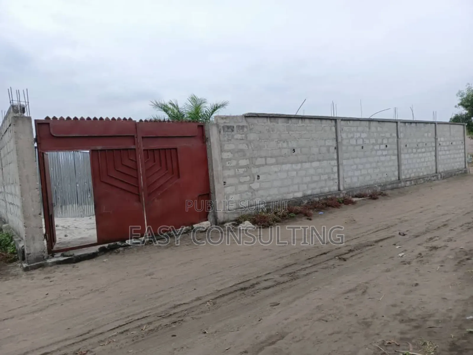 Vente D’Une Parcelle Clôturée Avec Deux Hangars –N'sele