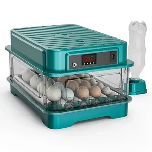 Photo - Incubateur d'Oeufs