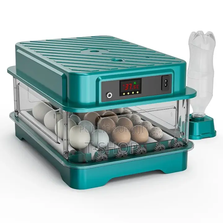Incubateur d'Oeufs