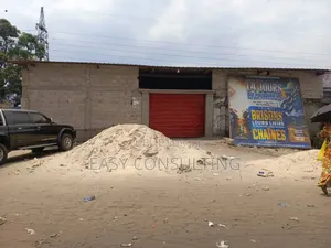 Parcelle Sur Boulevard Lumumba Au Q/ Efobank C/N'sele