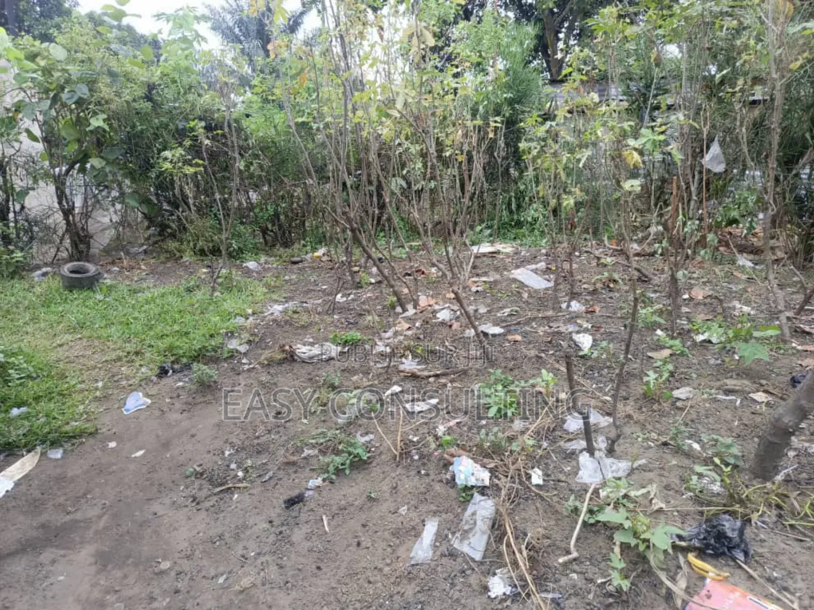 Parcelle Avec Grand Studio À Vendre – Quartier Camp Pm, C/N’Sele