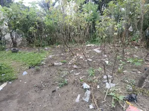 Parcelle Avec Grand Studio À Vendre – Quartier Camp Pm, C/N’Sele