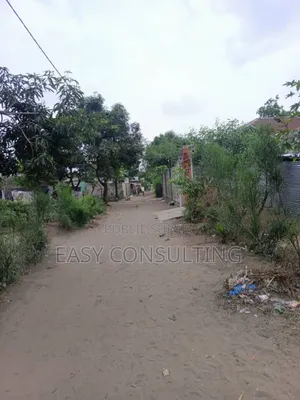 Parcelle Avec Grand Studio À Vendre – Quartier Camp Pm, C/N’Sele