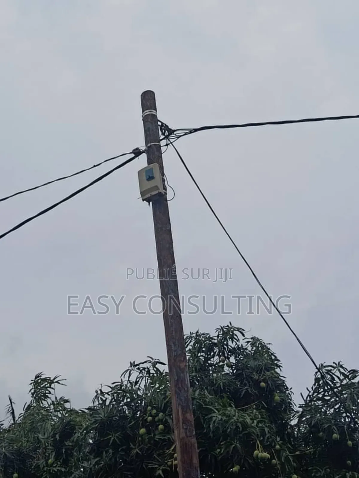 Parcelle Avec Grand Studio À Vendre – Quartier Camp Pm, C/N’Sele