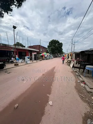 Vente Parcelle Sur Macadam – Ngaliema Gramalic