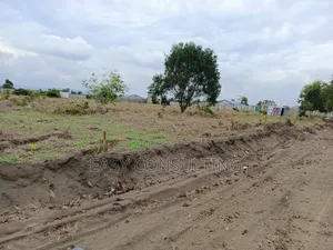 Terrains À Vendre Dans La Concession À N’Sele Q/ Félix Tshisekedi