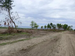 Terrains À Vendre Dans La Concession À N’Sele Q/ Félix Tshisekedi