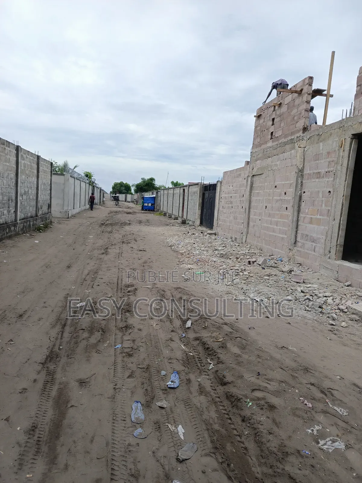 Terrains À Vendre Dans La Concession À N’Sele Q/ Félix Tshisekedi