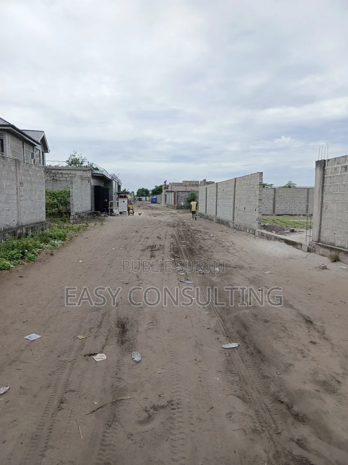 Terrains À Vendre Dans La Concession À N’Sele Q/ Félix Tshisekedi