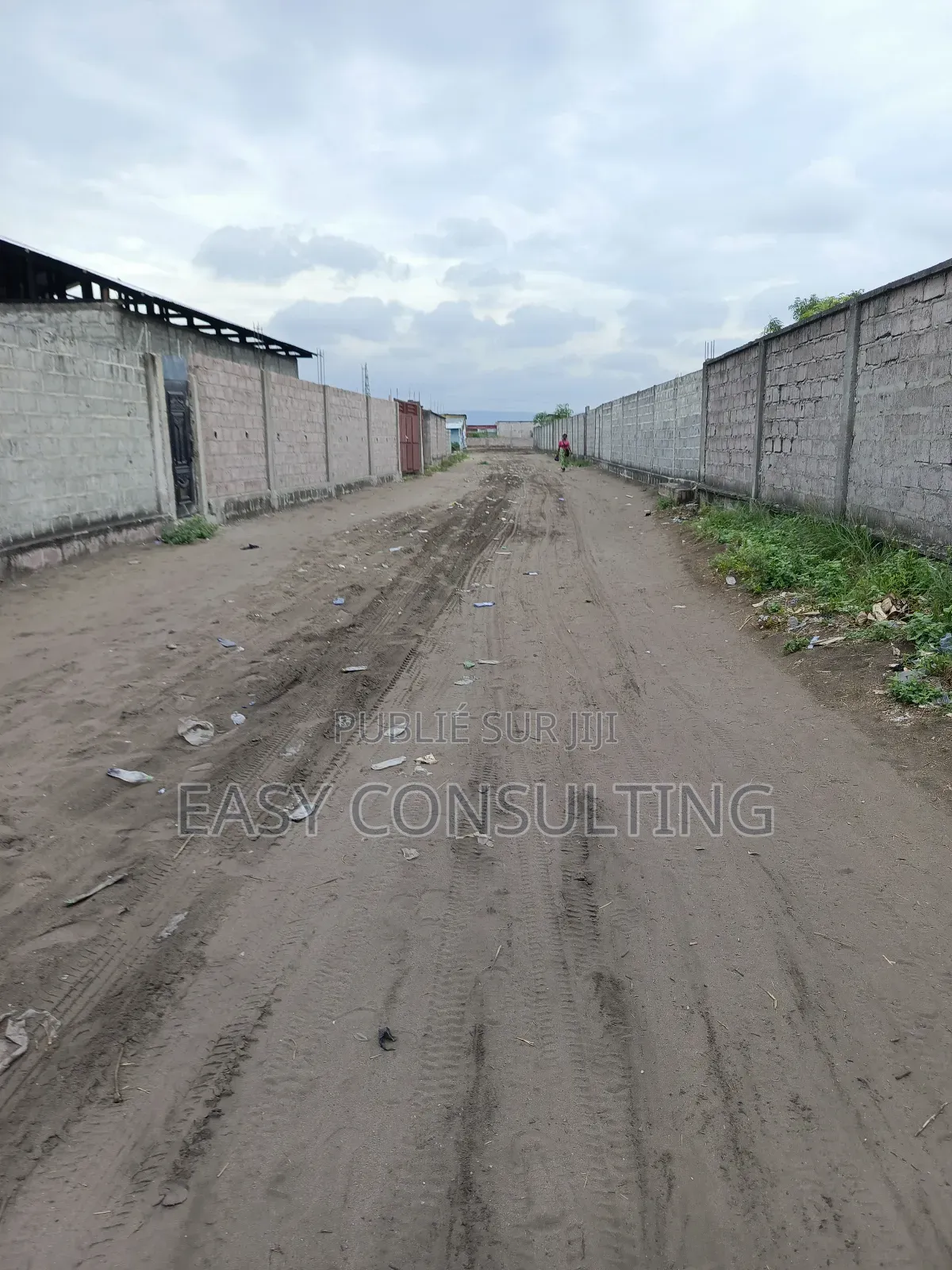 Terrains À Vendre Dans La Concession À N’Sele Q/ Félix Tshisekedi