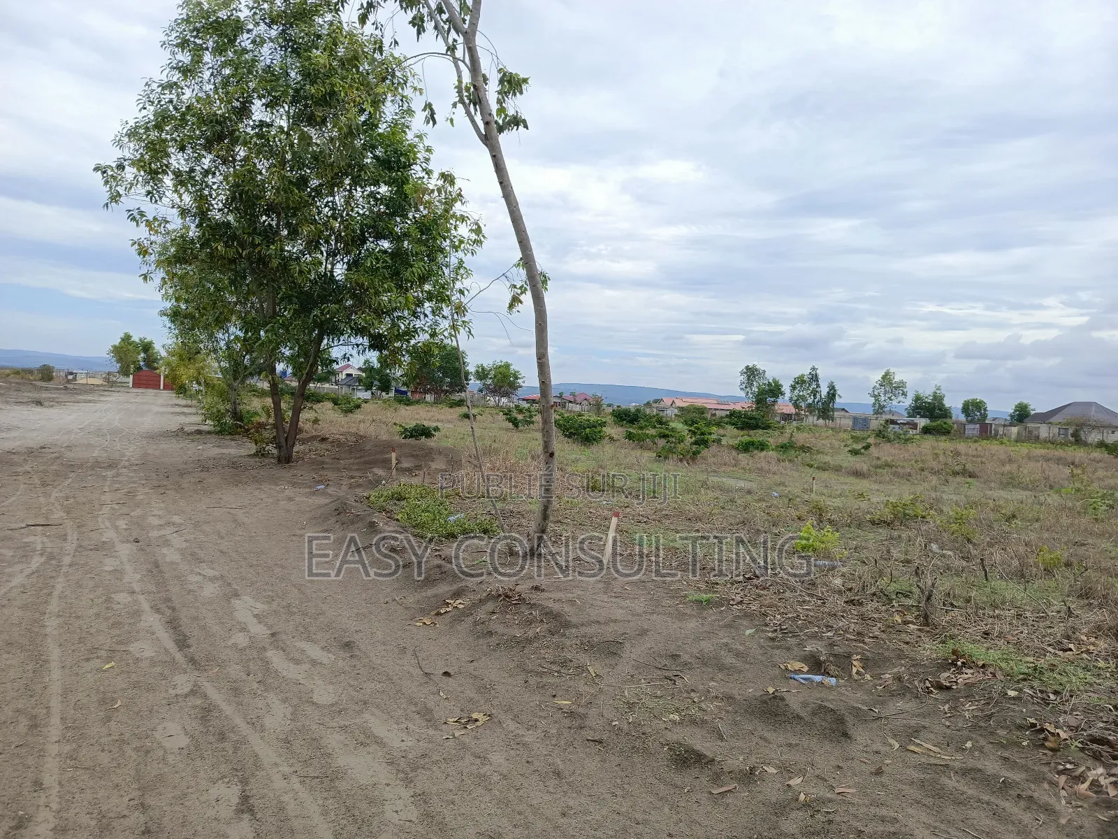 Terrains À Vendre Dans La Concession À N’Sele Q/ Félix Tshisekedi