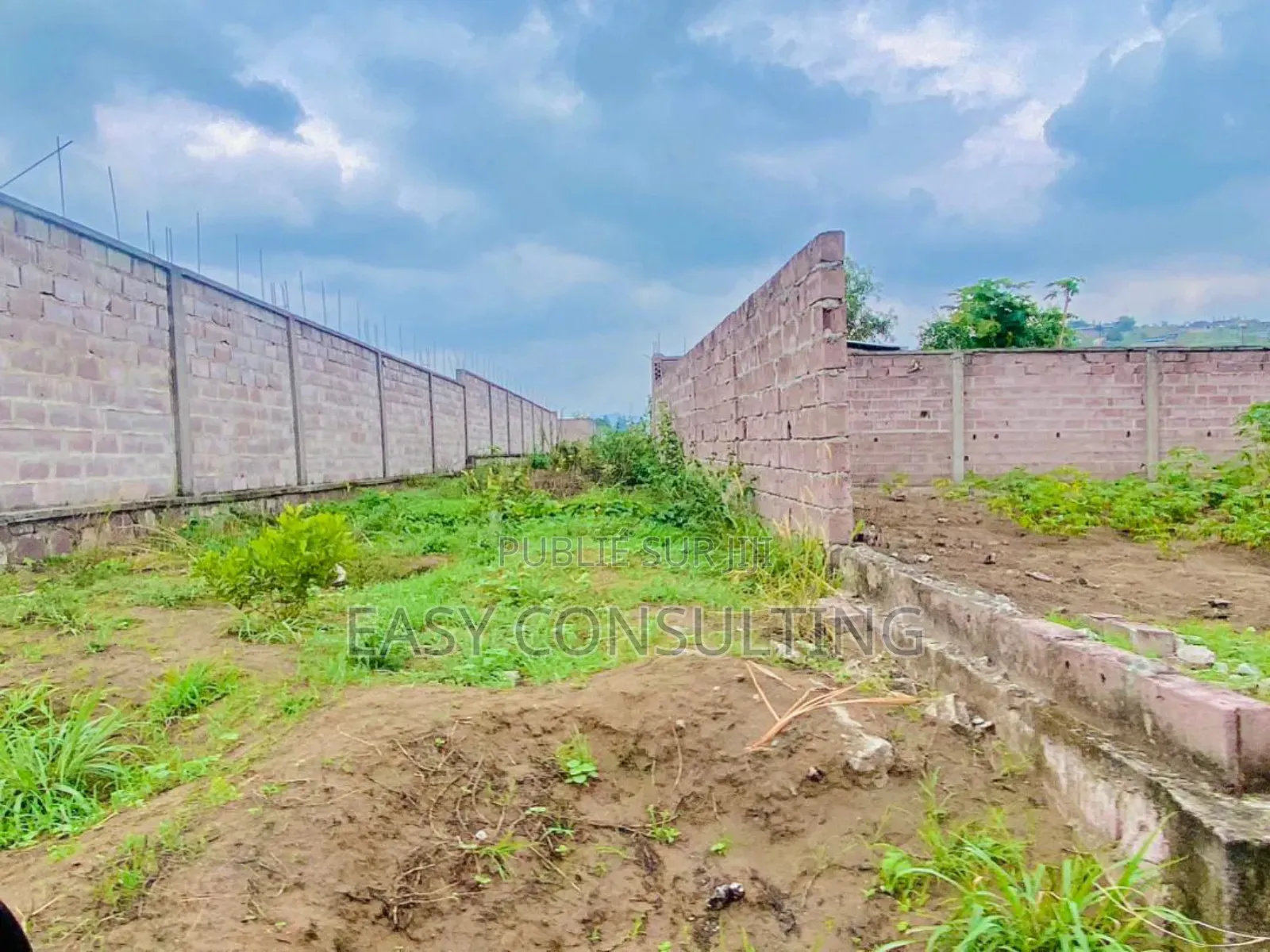 Terrains À Vendre – N’Sele Bambou, Quartier Bolingo