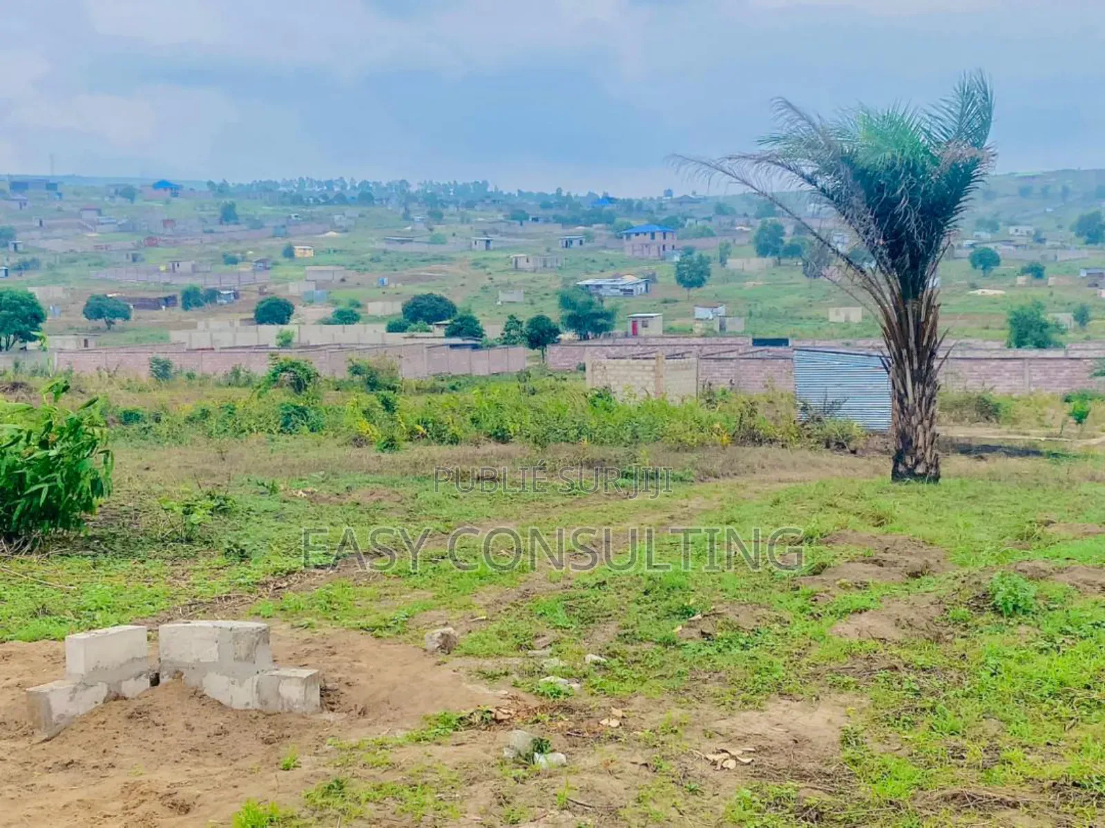 Terrains À Vendre – N’Sele Bambou, Quartier Bolingo