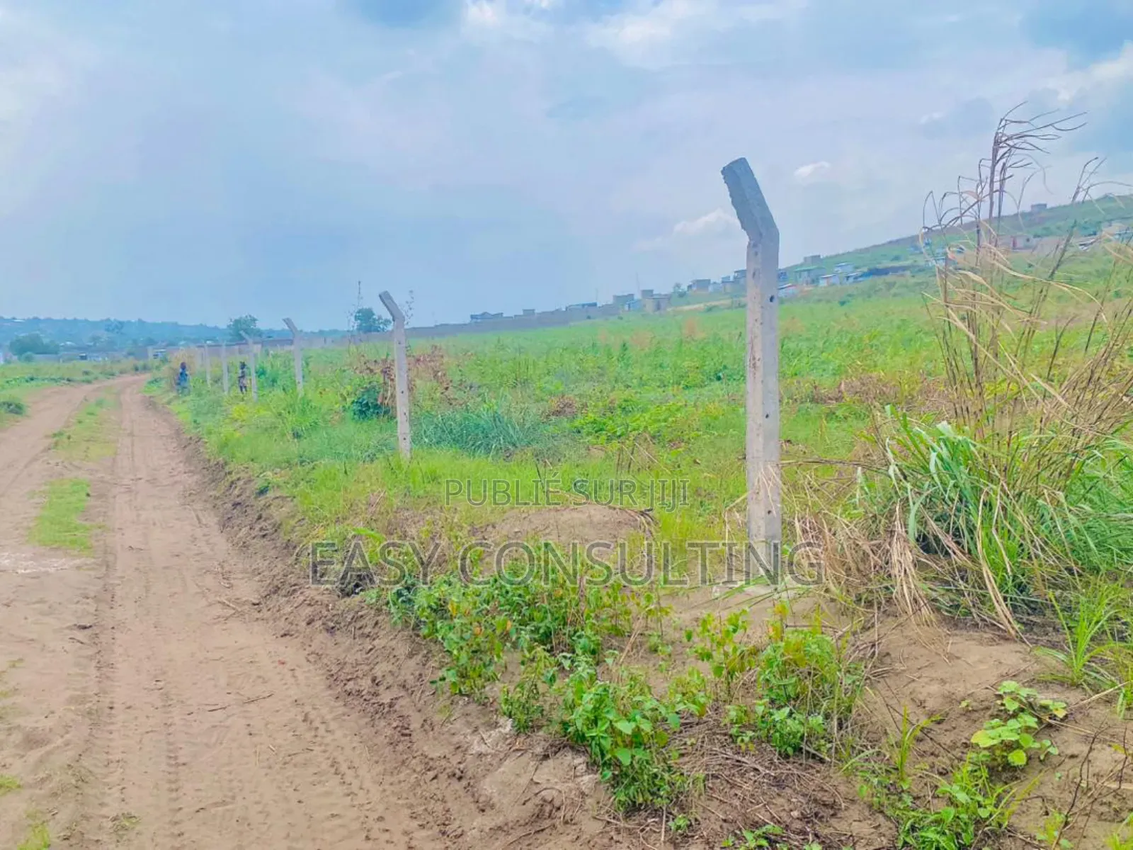 Terrains À Vendre – N’Sele Bambou, Quartier Bolingo