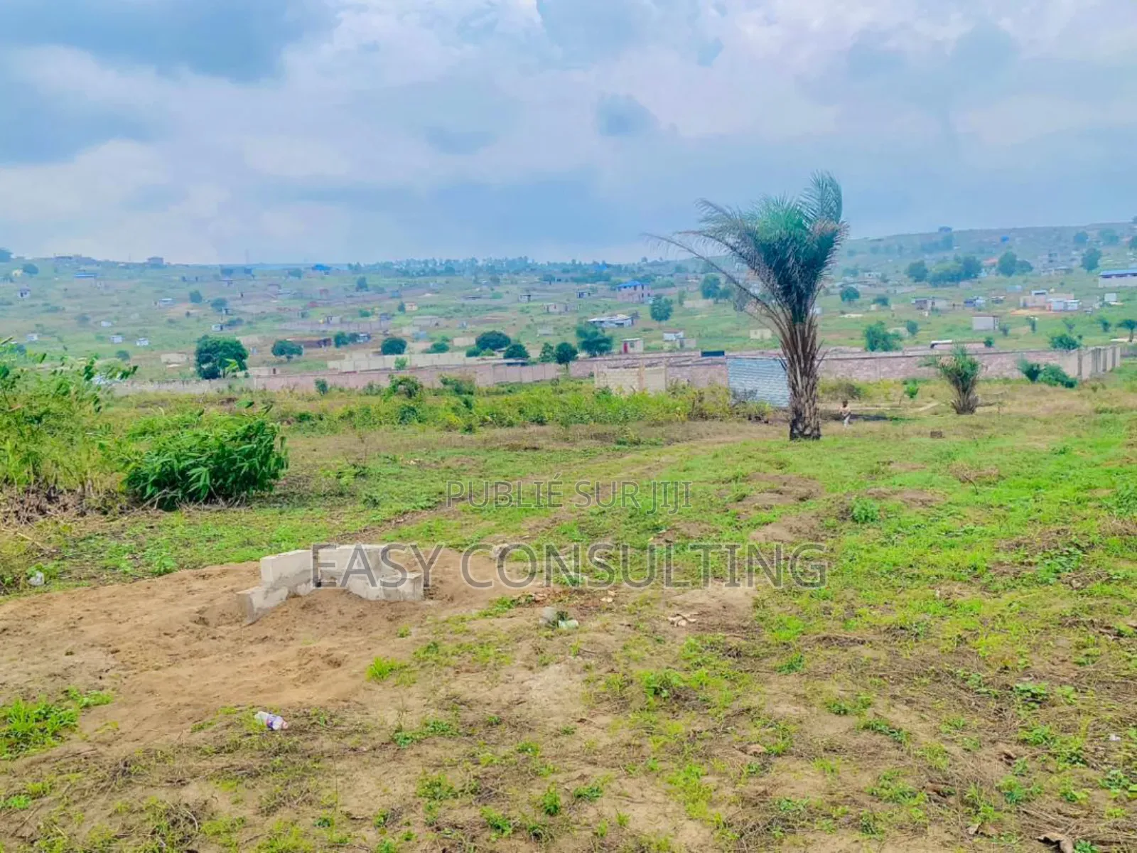 Terrains À Vendre – N’Sele Bambou, Quartier Bolingo