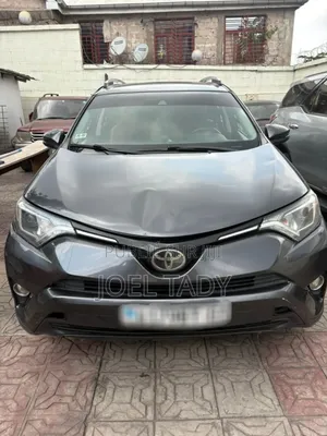 Toyota RAV4 2017 Gris