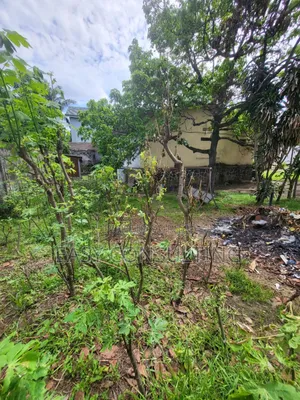 Morcellement De Terrains À Binza Pigeon – Ngaliema, Emplacement Idéal