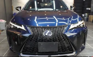 Lexus UX 2020 Blue