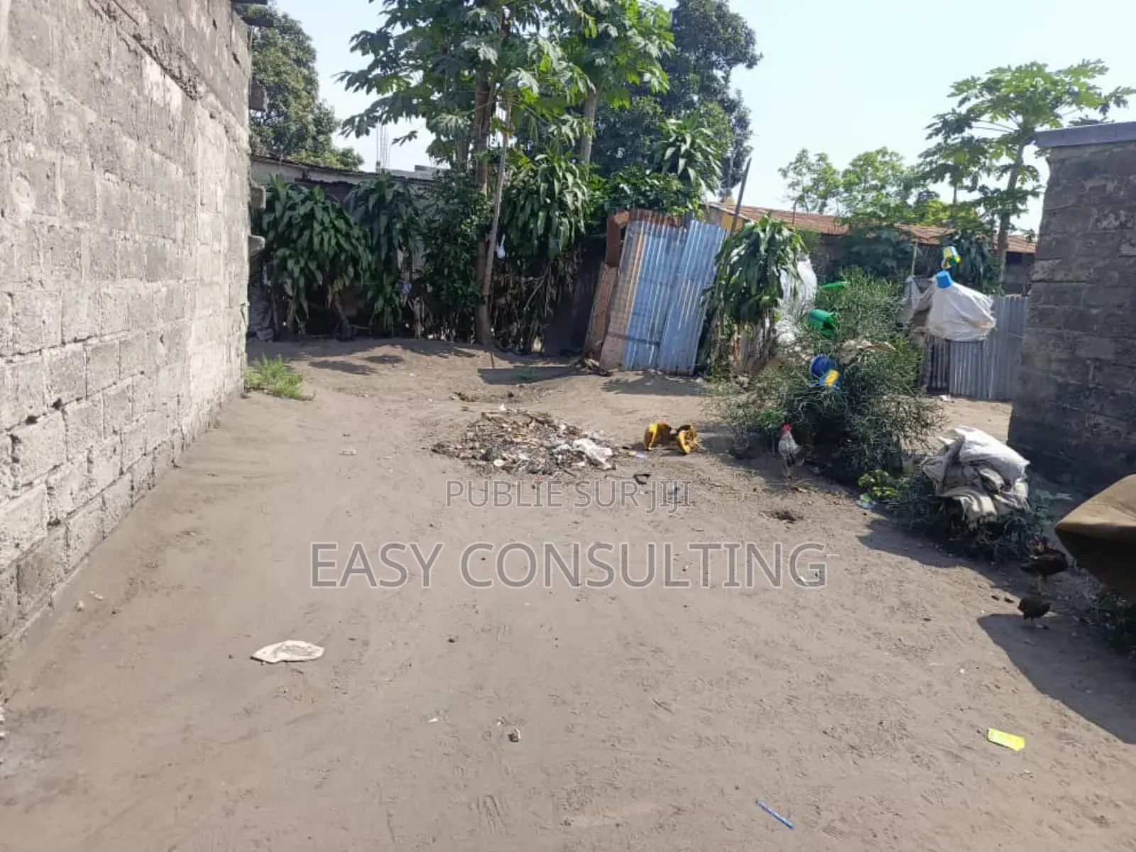 Parcelle À Vendre – Quartier Efobank, N’Sele