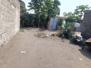 Parcelle À Vendre – Quartier Efobank, N’Sele