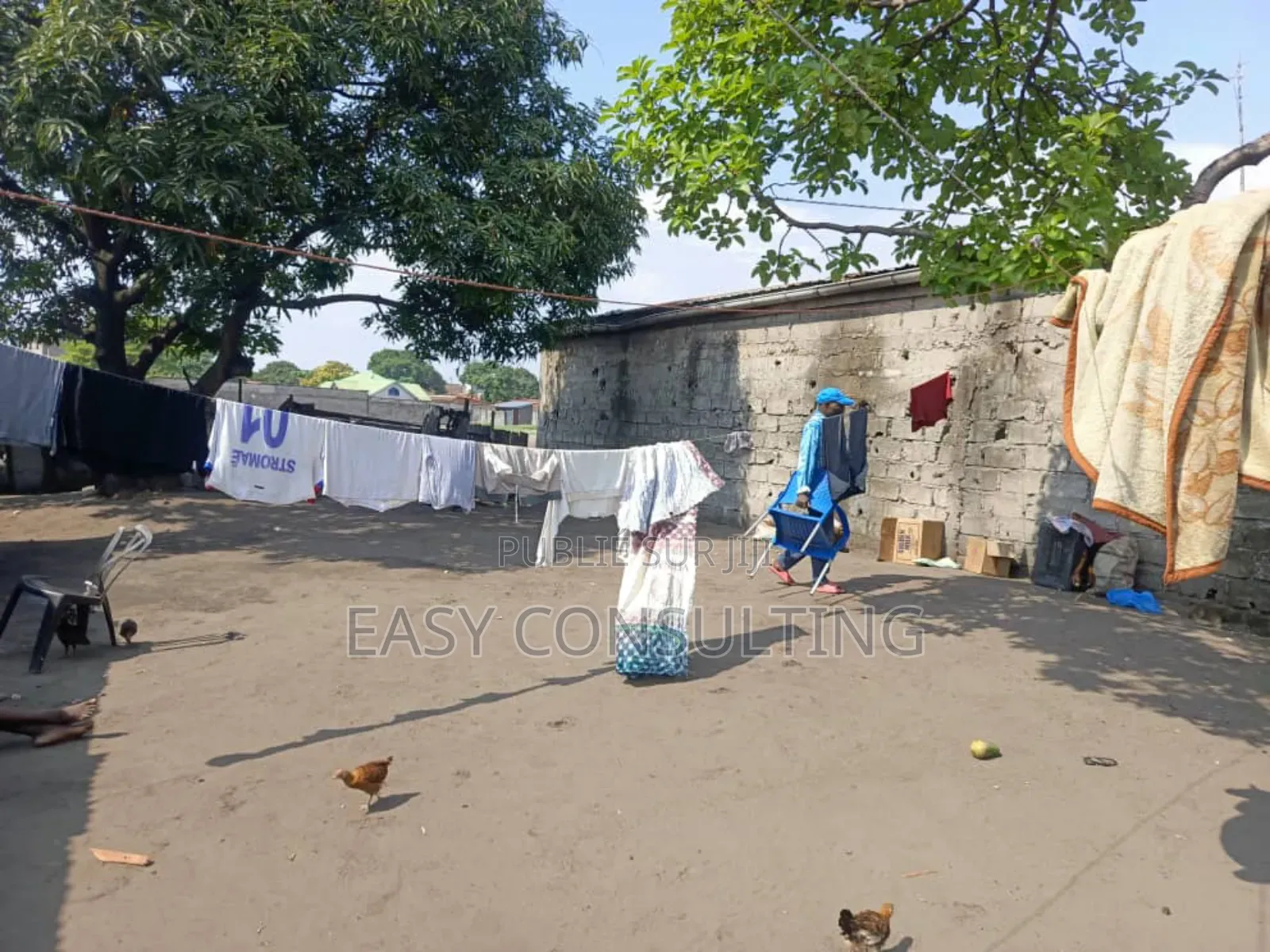 Parcelle À Vendre – Quartier Efobank, N’Sele