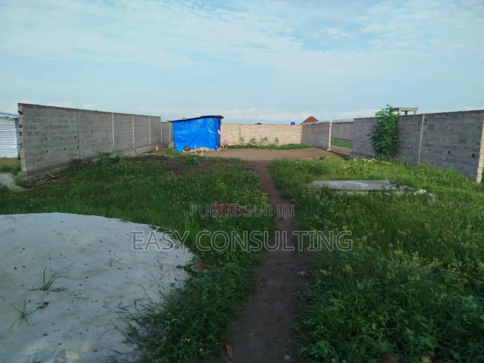 Parcelle en Vente – Réf. Fifa, Boulevard Lumumba (N’Sele)