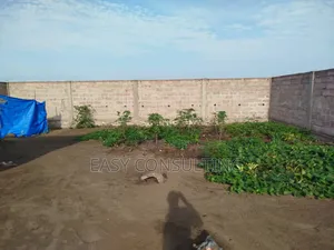 Parcelle en Vente – Réf. Fifa, Boulevard Lumumba (N’Sele)