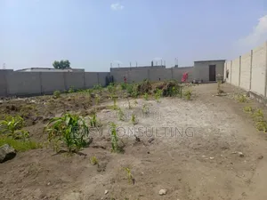 Parcelle Commerciale Clôturée À Vendre – Boulevard Lumumba / N’Sele