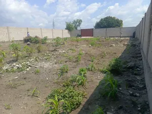 Parcelle Commerciale Clôturée À Vendre – Boulevard Lumumba / N’Sele