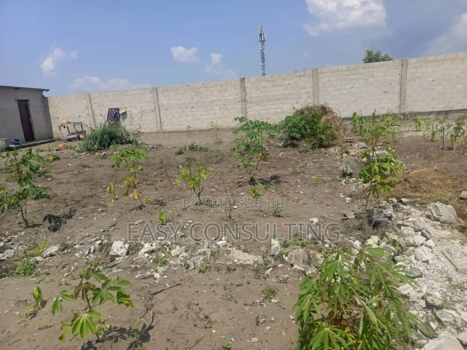 Parcelle Commerciale Clôturée À Vendre – Boulevard Lumumba / N’Sele