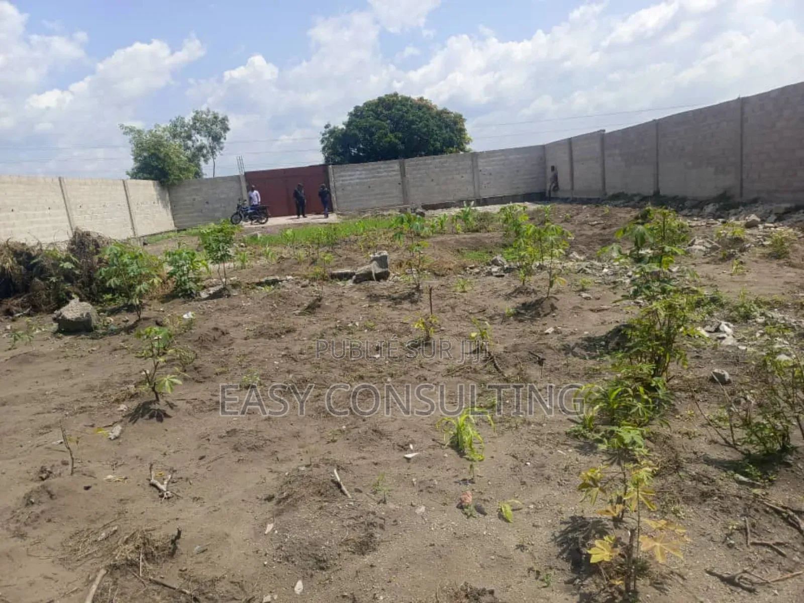 Parcelle Commerciale Clôturée À Vendre – Boulevard Lumumba / N’Sele