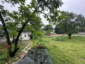 Terrain À Vendre À Ngaliema/ Binza Météo