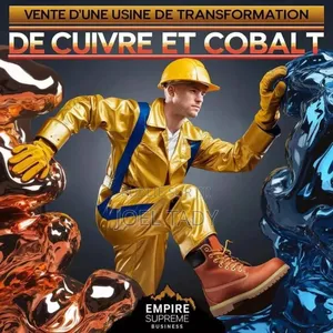 À Vendre : Usine De Production De Cathode