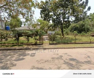 Vente Terrain Mimosas