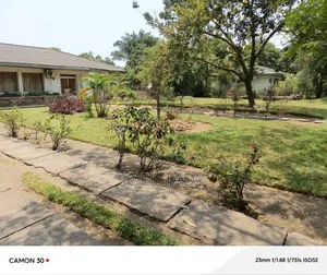 Vente Terrain Mimosas