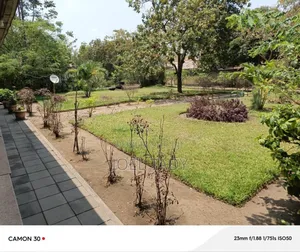 Vente Terrain Mimosas